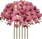 32" Faux Phalaenopsis Orchid Stems – Set of 6 Realistic Artificial Flowers for Vases, Weddings & Home Styling